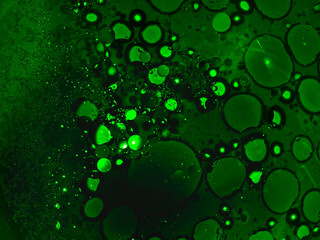 green abstract background with bubbles