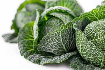 Freshly harvested green cabbage with dew drops on leaves, displayed on a light background