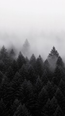 Fototapeta premium A black forest landscape enveloped in mist, creating an atmospheric and moody scene, ideal for posters and mobile wallpapers