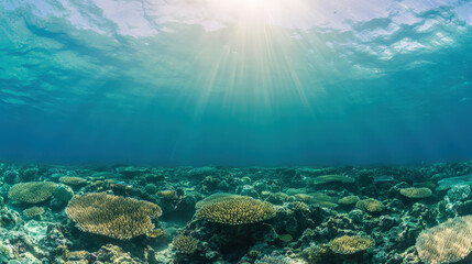 Fototapeta premium Vibrant Underwater Coral Reef Scene