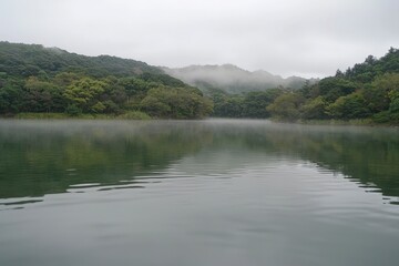 Tranquil lake surrounded by lush forest under misty gray skies during early morning hours