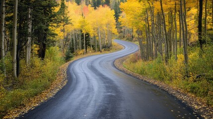 Fototapeta premium A smooth, black road winds through a forest bursting with fall colors.