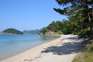 Serene beach landscape with clear blue waters and lush greenery under a bright sky