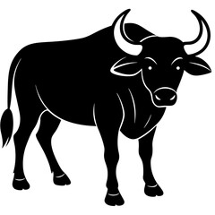 black and white buffalo