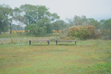 bench in the park