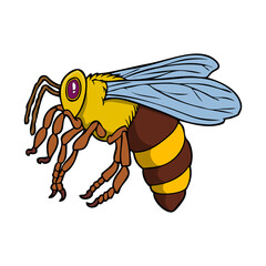 bee vector illustration