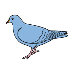 dove vector illustration