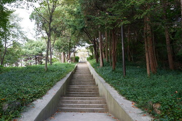path in the park