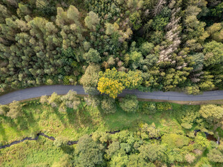 Explore the serene beauty of nature in this stunning aerial image featuring a lush forest and winding road