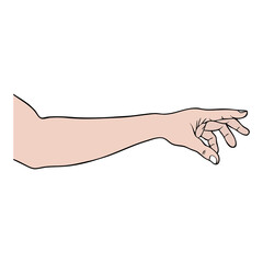 hand vector illustration