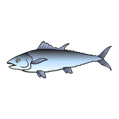 tuna fish vector illustration