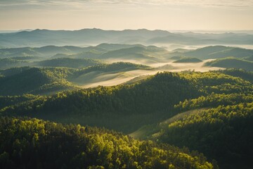 Serene morning mist blankets lush green hills in a tranquil mountain landscape
