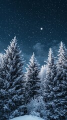 Naklejka premium Moonlit Pines, Evergreen trees