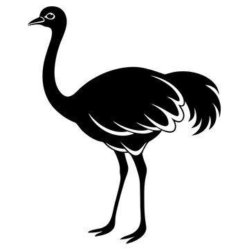 recommend clip art: ostrich silhouette isolated on white