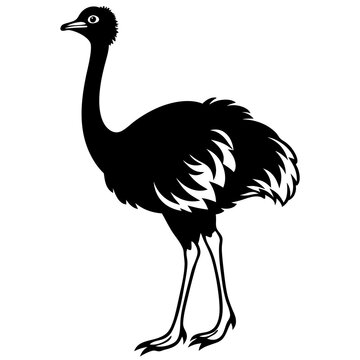 recommend clip art: ostrich silhouette isolated on white
