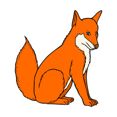 fox vector illustration
