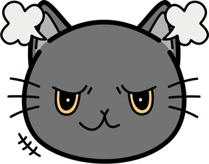 Cute gray cat angry