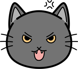 Cute gray cat angry