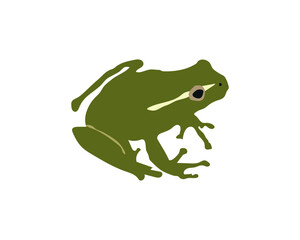 Frog Catching Insect stock illustration.