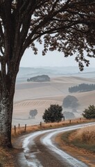 Naklejka premium Winding Country Road Through Misty Fields, Trees and a Moody Sky on a Rainy Autumn Day