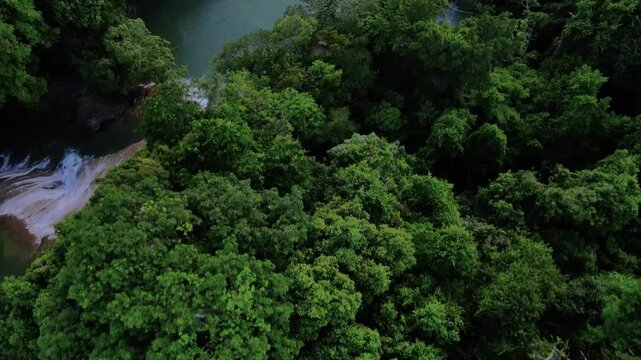 Topdown aerial footage over a blue river and wtaerfalls surrounded by lush jungle, Roberto Barrios, Chiapas, Mexico