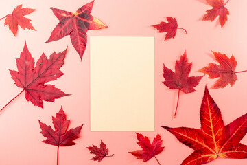 Obraz premium an assortment of red leaves neatly organized around a blank sheet of paper on pink background, pink October concept