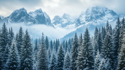 Fototapeta premium Silent Peaks, Snow covered mountains