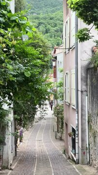 Narrow streets with greenery of medieval town centre.