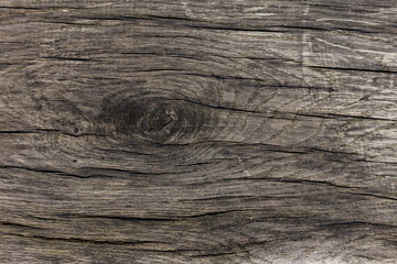 Fototapeta premium Old knotted wood grain showing texture and pattern Karlin, Prague