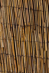 Bamboo fence creating a natural and sustainable barrier Karlin, Prague