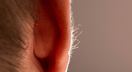 Growing hair on a man's ears, dermatology. Concept of laser hair removal on ears, macro. Copy space for text