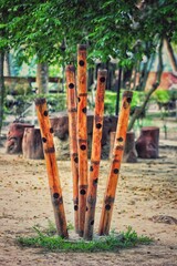 Fototapeta premium wooden fence