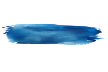 Ruddy brush isolated on transparent background, bule brush, watercolor