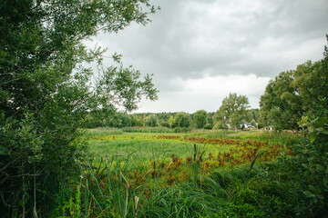 Overgrown lake during storm