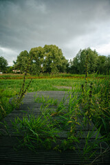 Wooden gazebo with overgrown lake