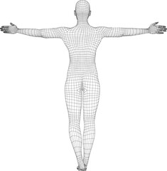 wireframe human pose