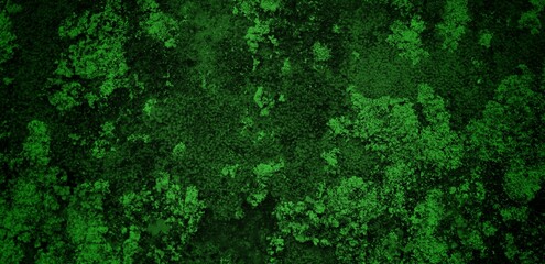 Fototapeta premium long cracked wall background in green color, Abstract background texture concrete or plaster hand made wall.