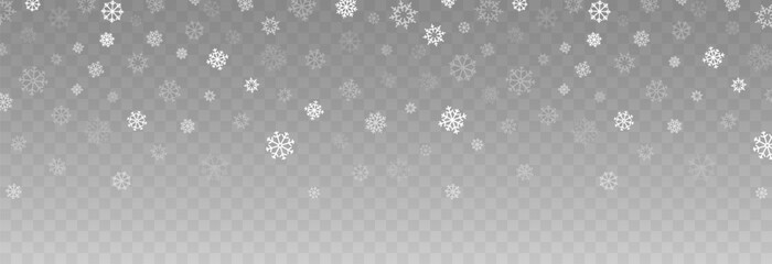 Vector flying snow. Flying snowflakes on an isolated transparent background. Winter or Christmas background. Snow or snowflakes png.