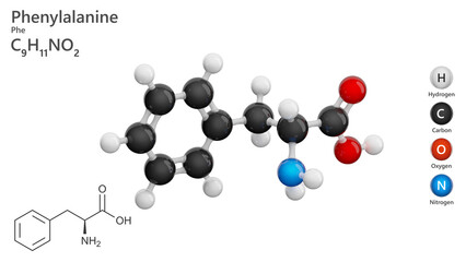 Molecule of Phenylalanine (C9H11NO2), is an amino acid vital for protein synthesis and the production of neurotransmitters like dopamine, norepinephrine, and epinephrine. White back. 3d illustration
