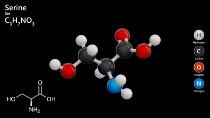 Molecule of Serine (C3H7NO3) is an amino acid vital for protein synthesis and metabolism. Its involved in the synthesis of other amino acids and supports immune function. Black back. 3d illustration