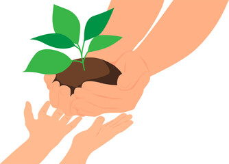 Hands of an adult giving to the hands of a child a plant with green leaves in the soil for planting.  Vector illustration with transparent background.	
