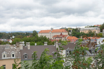 A bustling city filled with numerous tall buildings, complemented by verdant trees and lush greenery in the foreground, creating a vibrant urban landscape