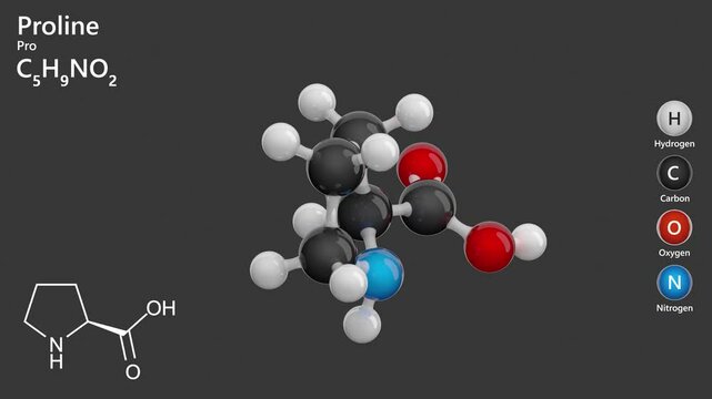 Molecule of Proline (C5H9NO2) is an amino acid important for protein structure and function. Its the stability of collagen, essential for skin, cartilage, and connective tissues. Gray back. 3d render