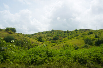 Obraz premium A serene hill with lush grass and trees, capturing the essence of a tranquil and picturesque outdoor landscape