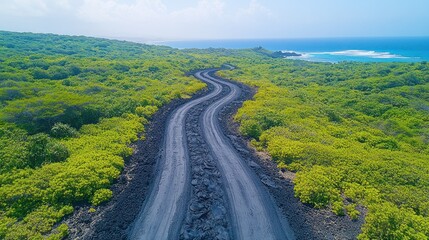 Obraz premium Winding road through lush greenery near the coastline.