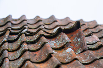 Roof tiles on an abandoned barn about to collapse.