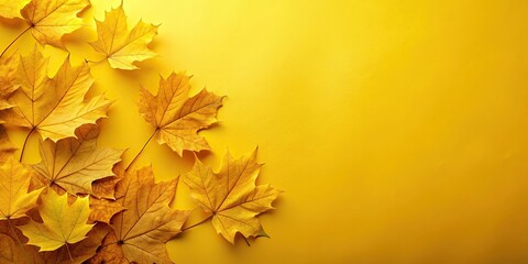 Fototapeta premium Yellow autumn leaves on background