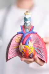 Doctor with Respiratory system anatomy for Diseases. Lung Cancer, Asthma, Chronic Obstructive Pulmonary or COPD, Bronchitis, Emphysema, Cystic Fibrosis, Bronchiectasis, Pneumonia and Pleural Effusion