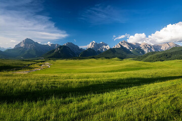 Fototapeta premium alpine meadow in the mountains
