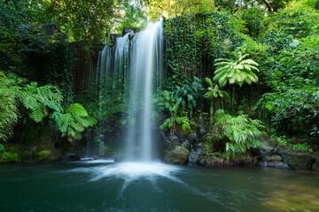 waterfall in the forest